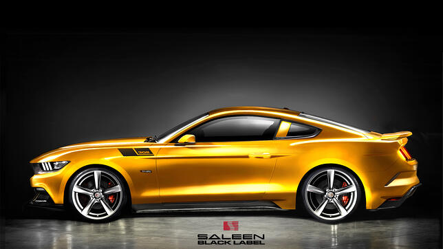 Saleen_Mustang_302_Black_Label