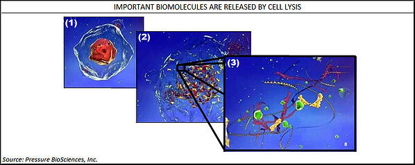 Pressure-BioSciences-Cell-Lysis