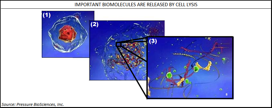 Pressure-BioSciences-Cell-Lysis