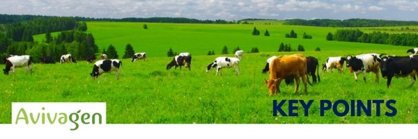 Avivagen Key Points Header.jpg