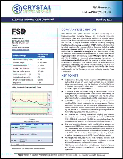 FSD Executive Informational Overview